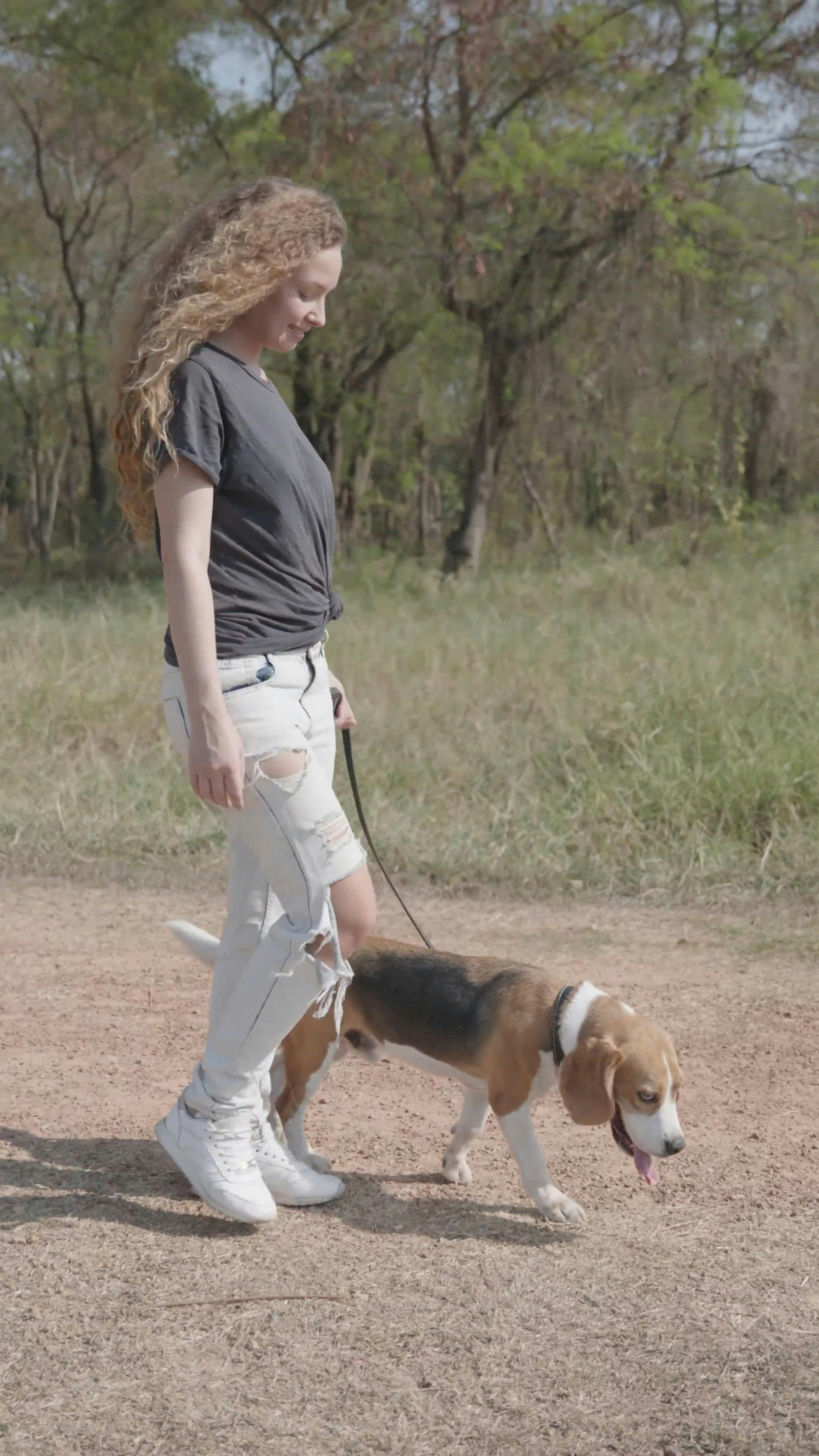 A Woman with Her Dog on Leash · Free Stock Video