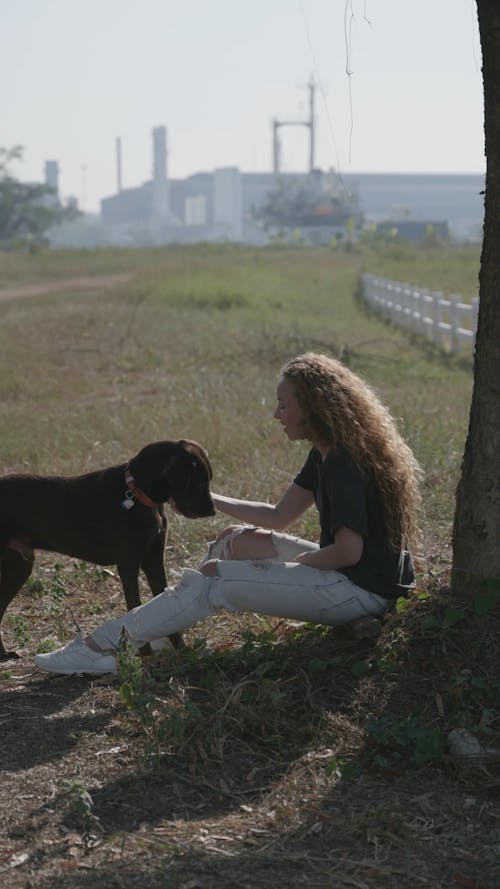 Woman Touching the Dog Free Stock Video Footage, Royalty-Free 4K & HD Video  Clip