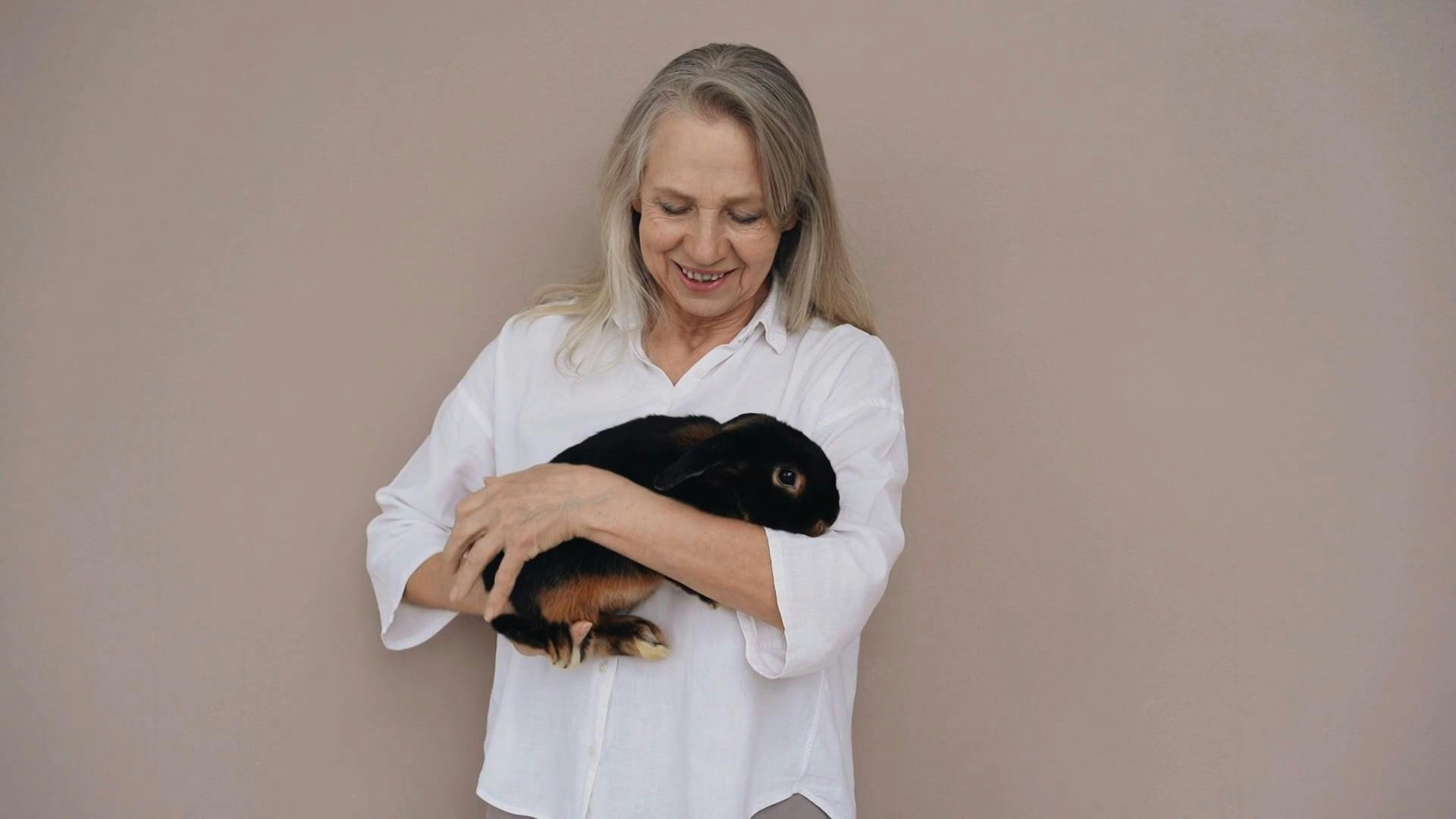 Woman Holding Rabbit · Free Stock Video