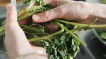 洗菜高清视频视频素材免费下载视频素材视频素材