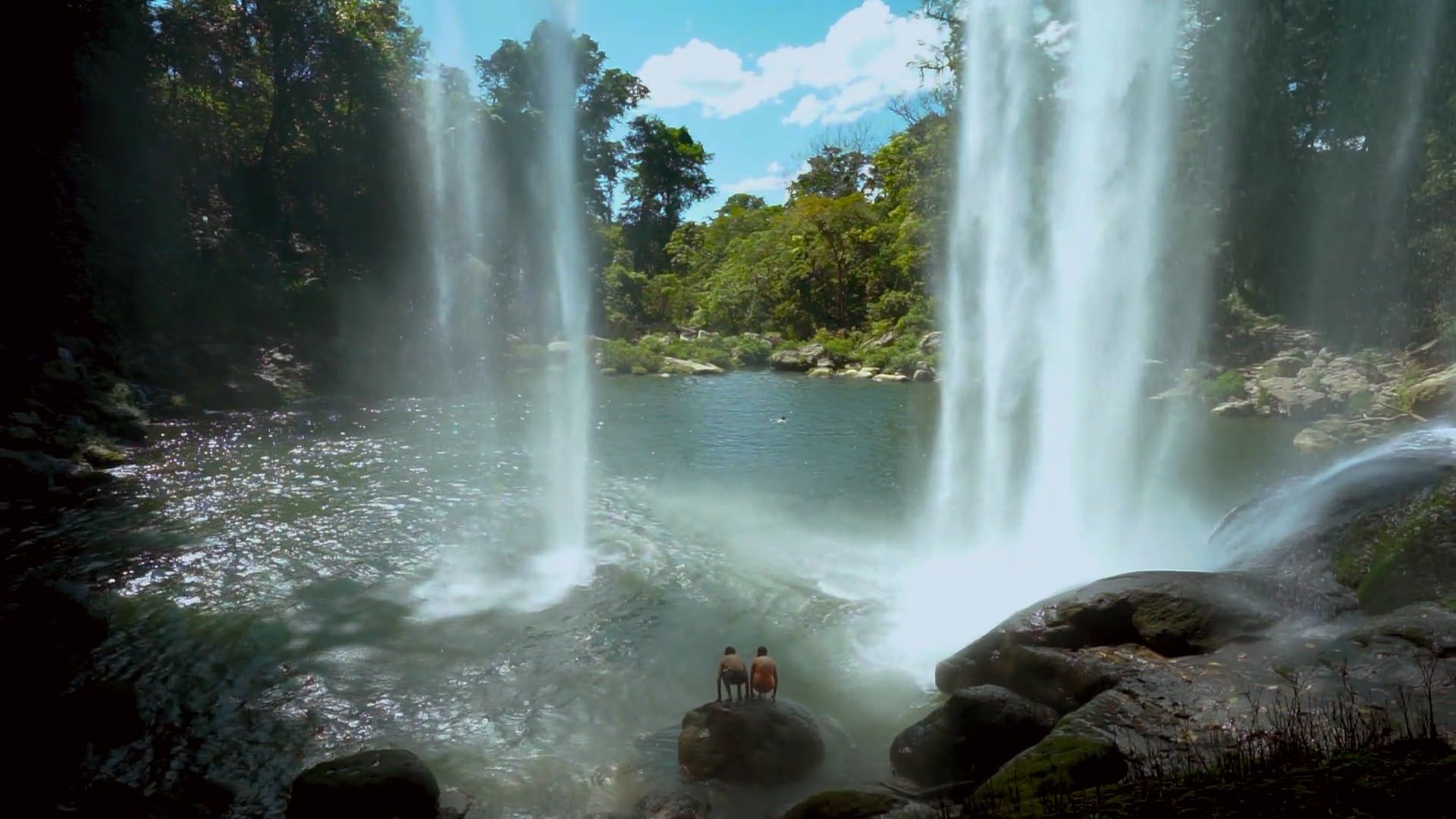 Amazon Jungle Videos Download The Best Free 4k Stock Video Footage