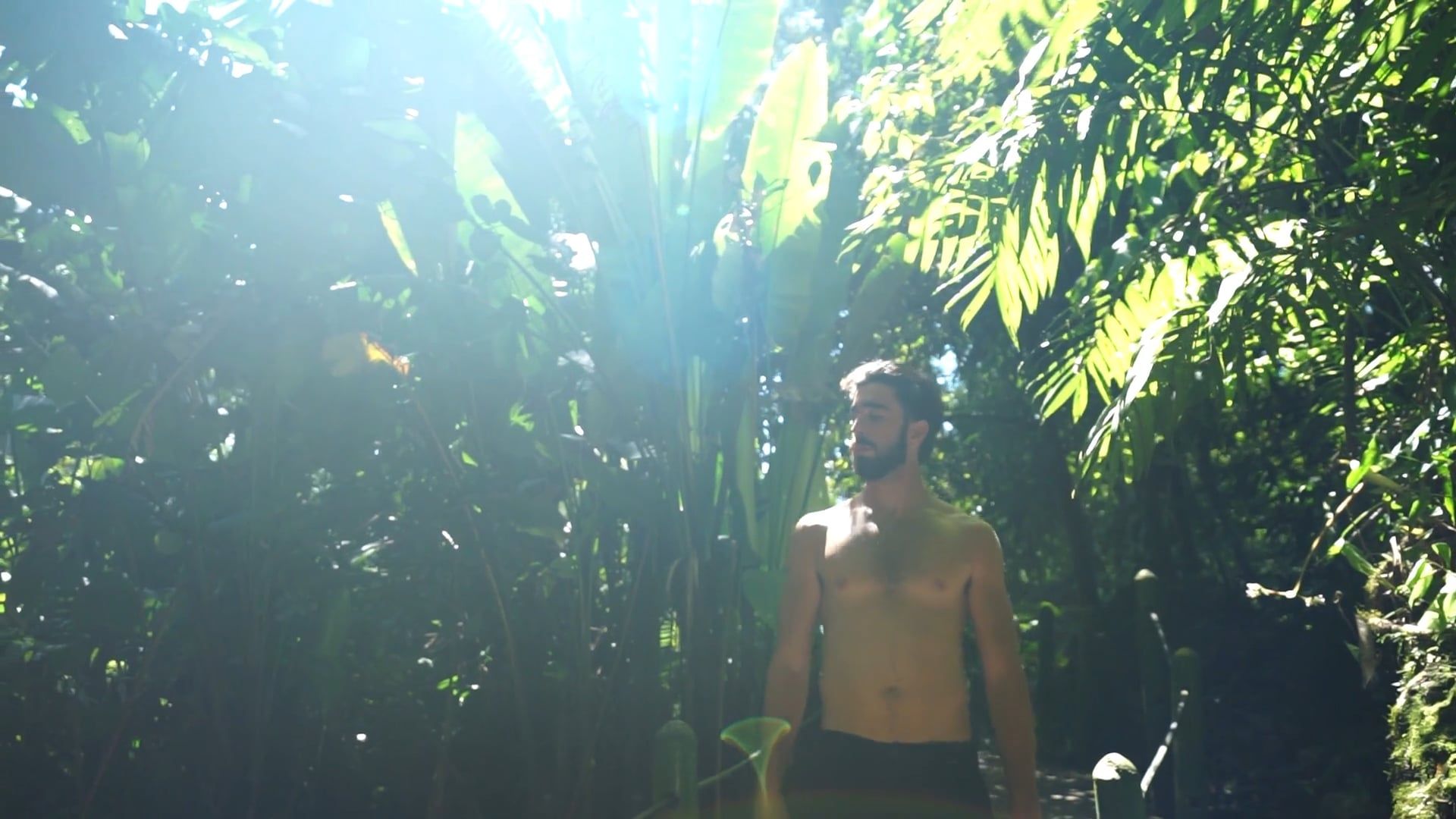 Man Walking on a Tropical Forest Free Stock Video Footage, Royalty-Free ...