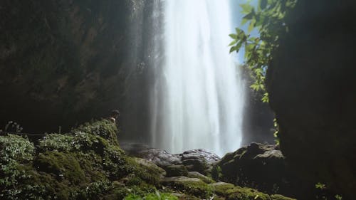 A Man Standing Near a Waterfall