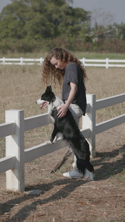 Video of a Woman Touching Dog Free Stock Video Footage, Royalty-Free 4K & HD Video Clip Video of a Woman Touching Dog Free Stock Video Footage, Royalty-Free 4K & HD Video Clip