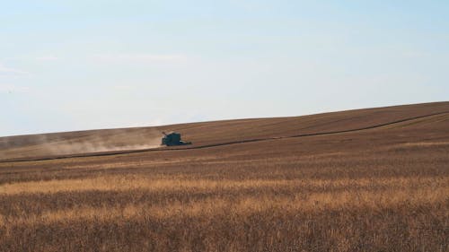 A Tractor on a Cropland