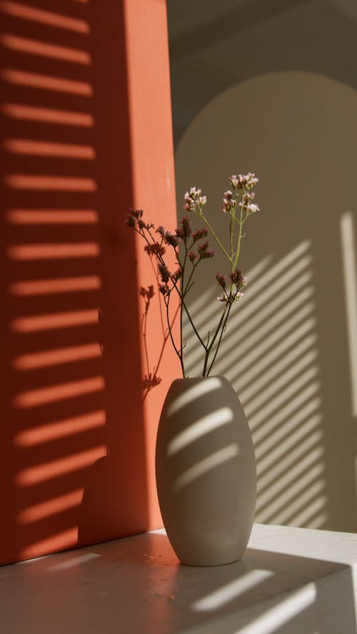 A Flower Vase and a Window Shadow