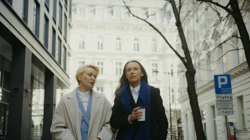 Women Having a Conversation while Walking