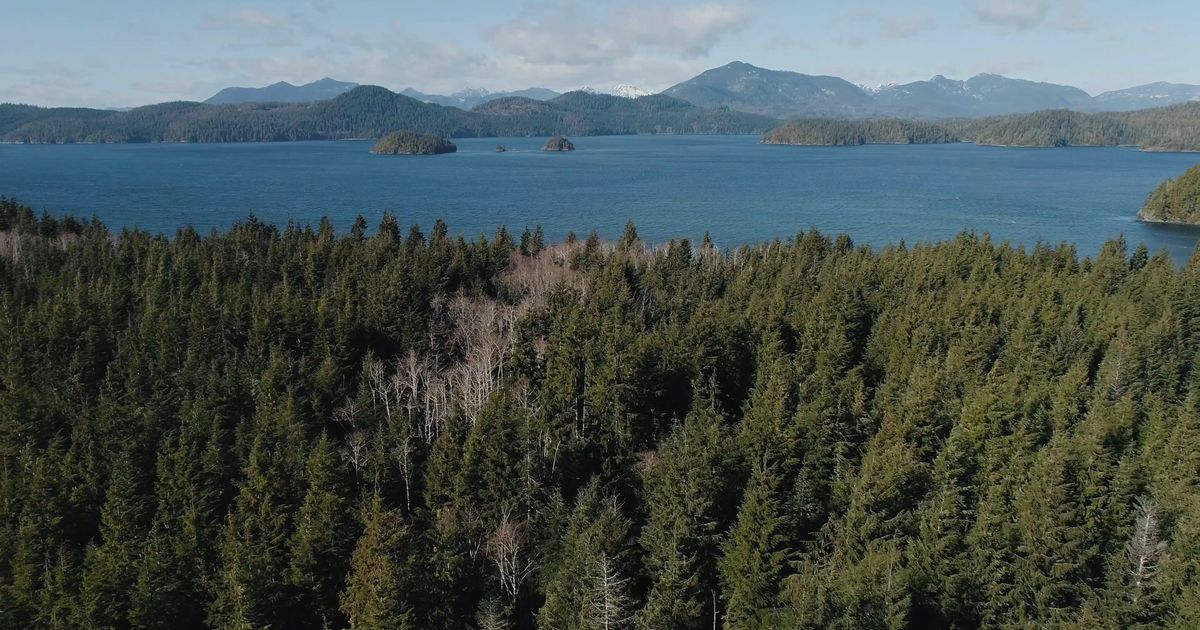 drone footage of a beautiful lake 7226223