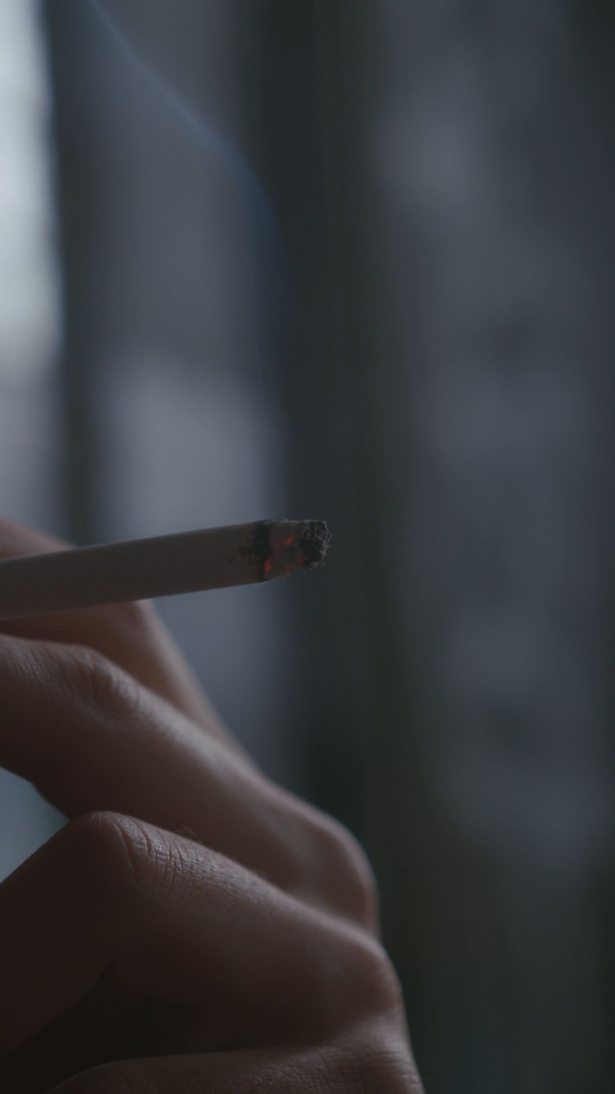 一支烟的烟点燃 · 免费素材视频