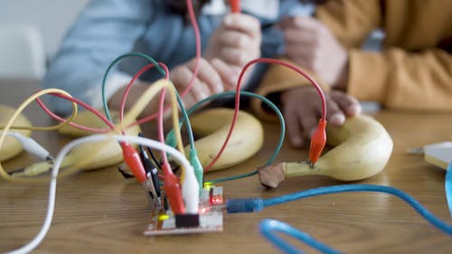 Children Making a Science Project