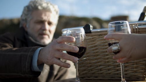 Close-Up View of People Having a Toast 