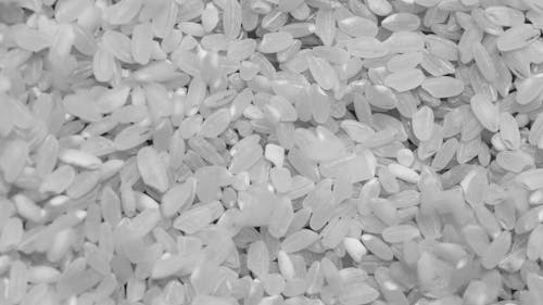 Foto profissional grátis de arroz, branco, cereais