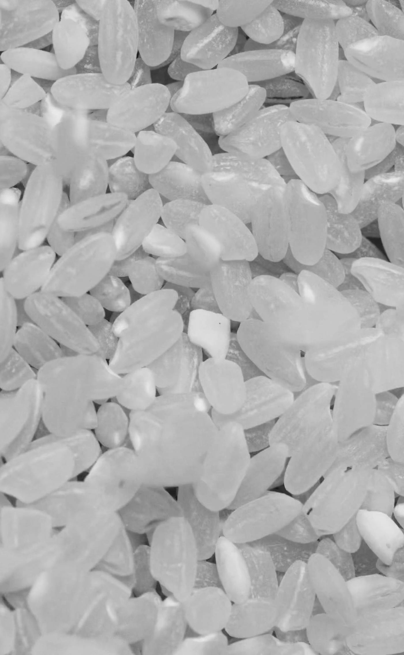 3,000+ Best Rice Photos · 100% Free Download · Pexels Stock Photos