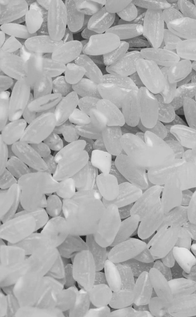 Interesting Rice Images 3,000+ Best Rice Photos · 100% Free Download · Pexels Stock Photos