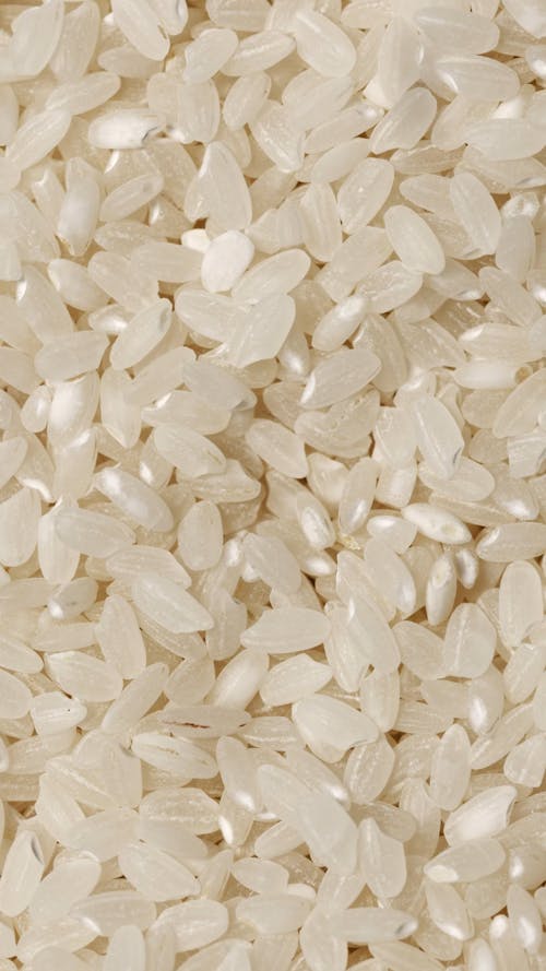 Grains of Rice