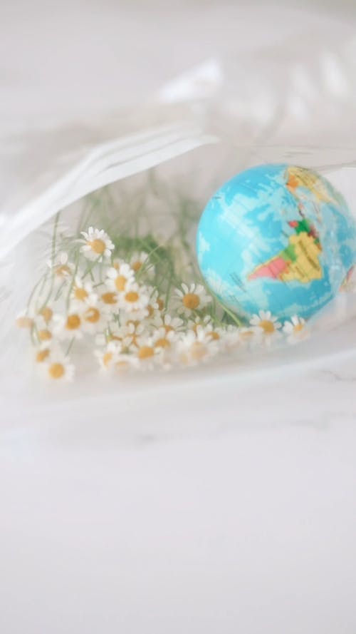 Zip Lock Bag with White Flowers and Small Globe