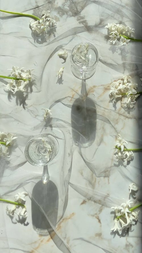 Glasses in Between Rows of Flowers