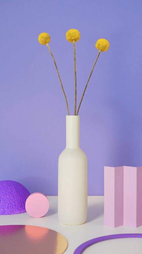 Studio Shot of Flowers in the Vase