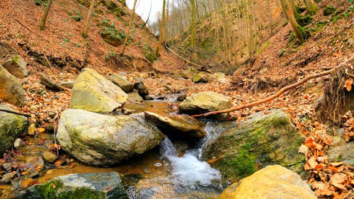 Flowing Water in a Stream