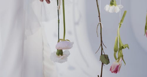 Flowers Hanging 