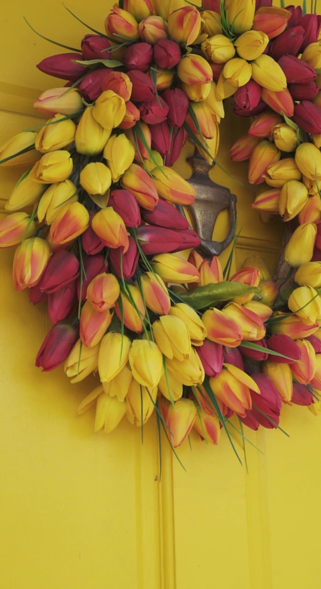 Circular Flowers Videos, Download The BEST Free 4k Stock Video Footage ...