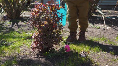 Child Doing an Easter Egg Hunt