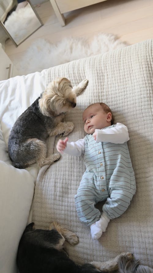 Cute Baby Videos, Download The BEST Free 4k Stock Video Footage & Cute Baby HD Video Clips Cute Baby Videos, Download The BEST Free 4k Stock Video Footage & Cute Baby HD Video Clips