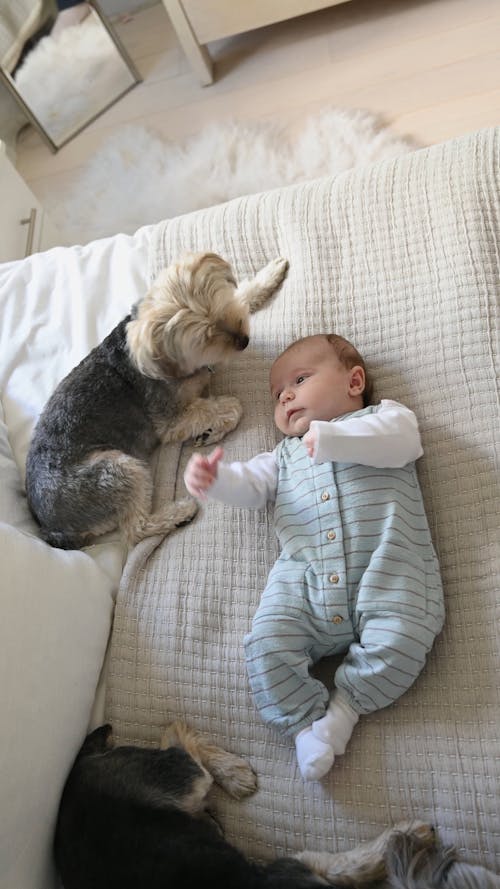 Dog Sitting Beside a Baby