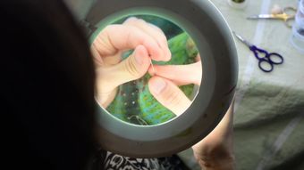 我要验牌视频素材