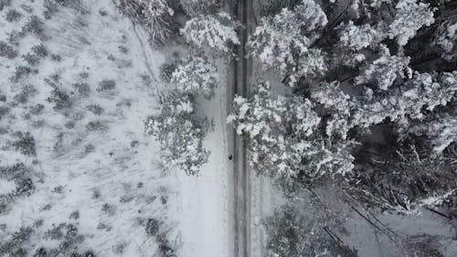 Aerial View of a Pathway in the Forest Covered in Snow