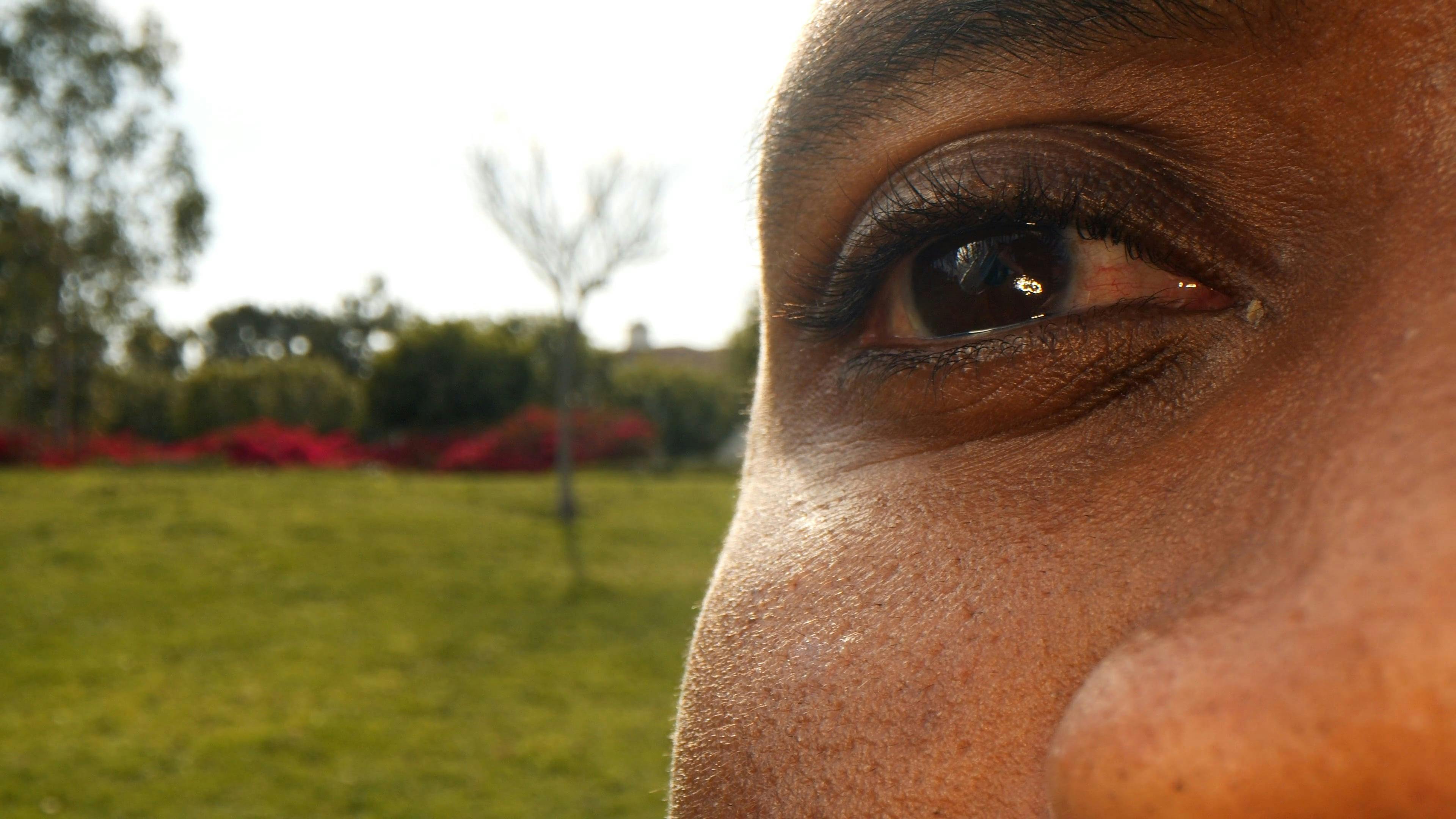 Blinking Eye Closeup Free Stock Video Footage, RoyaltyFree 4K & HD