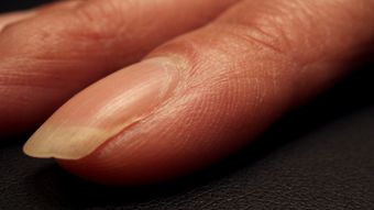 人体视频素材视频素材高清视频免费下载视频素材