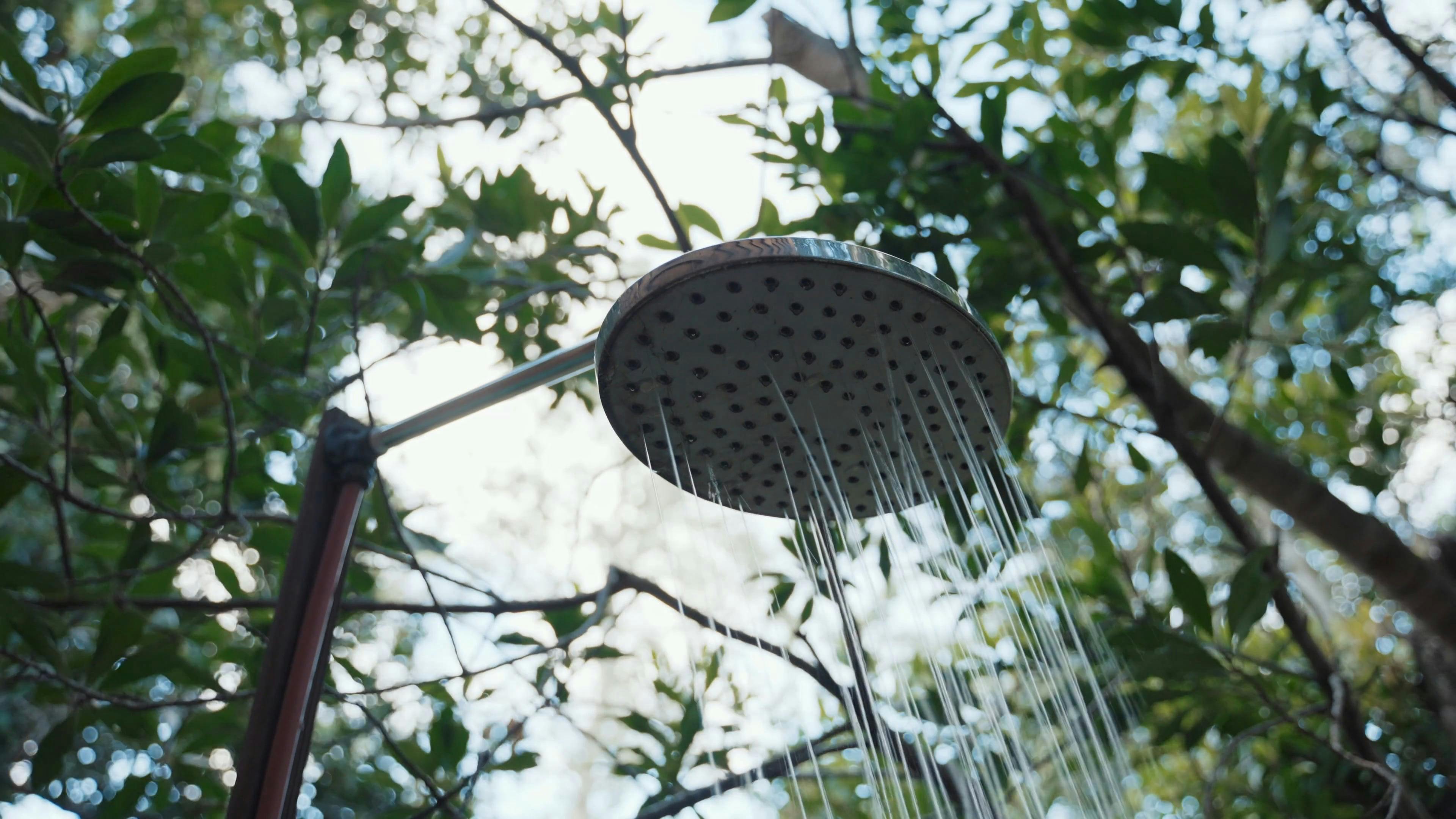 Video by Taryn Elliott