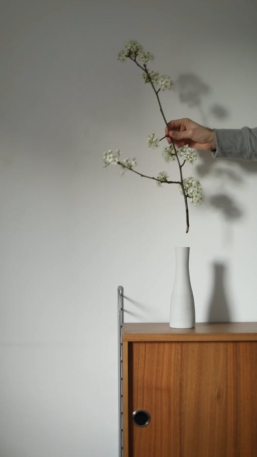 Person Putting a Flower on a Vase