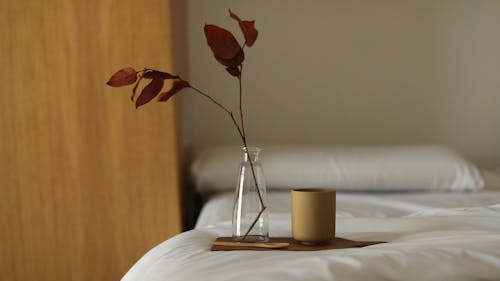 A Cup of Coffee on the Bed