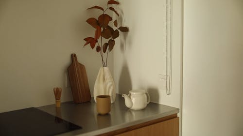 Video Of Teapot and An Indoor Plant