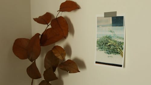 A Paper Painting on the Wall