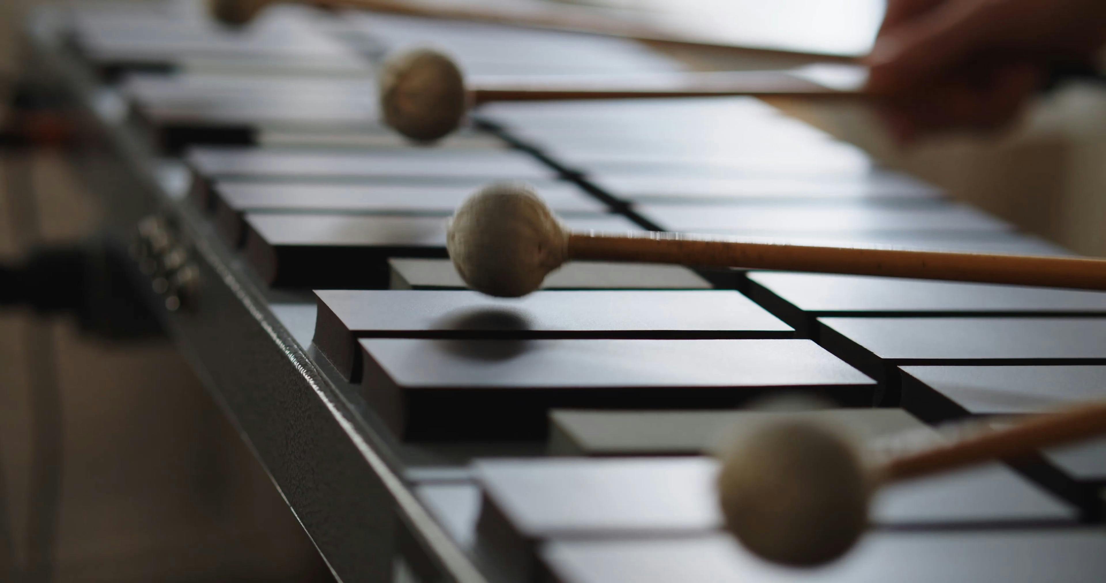 Closeup Footage of a Person Playing Xylophone · Free Stock Video