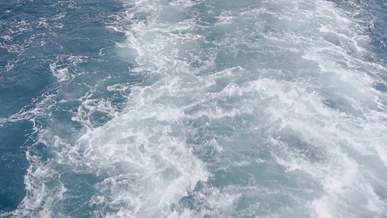 big waves on the ocean