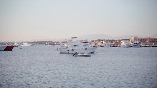 Boats in the Bay 