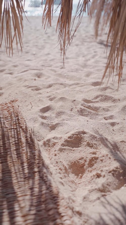 Sandy Beach and Dried Palm Leaves