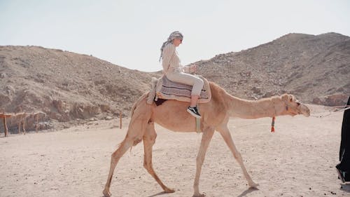 Camel Riding of a Woman in Desert