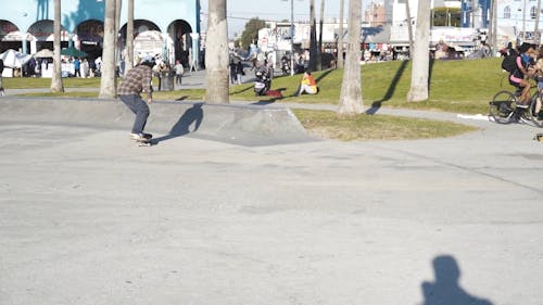 Skaters Doing Skateboard Tricks