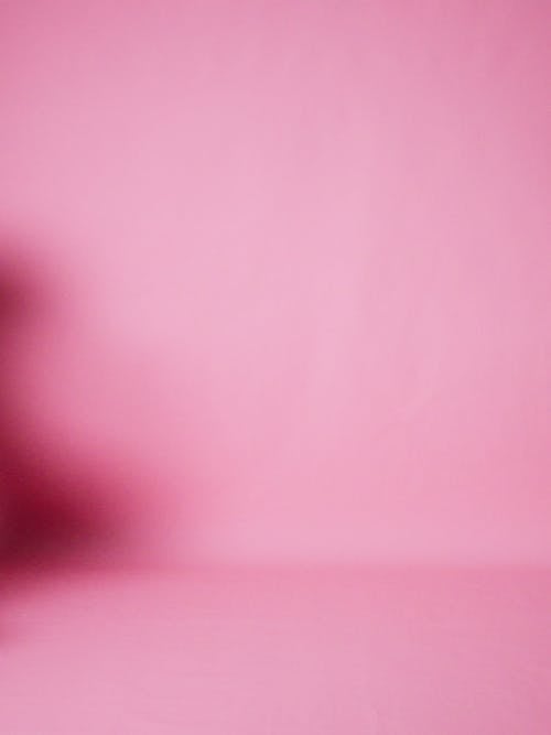 A Woman Running In Carrying A Flamingo Bird Figure