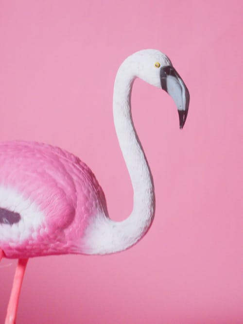 A Plastic Flamingo Bird Stumbles From The Wind