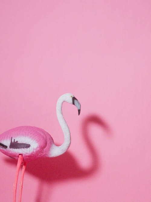 Pink Plastic Flamingo Falling Down 