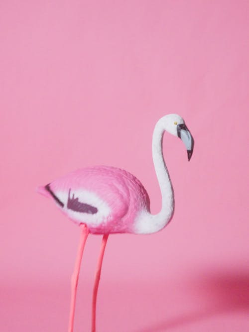 A Toy Flamingo Stumbles light