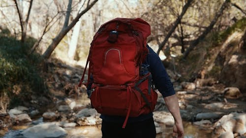 A Man Trekking Along The Forest Creek