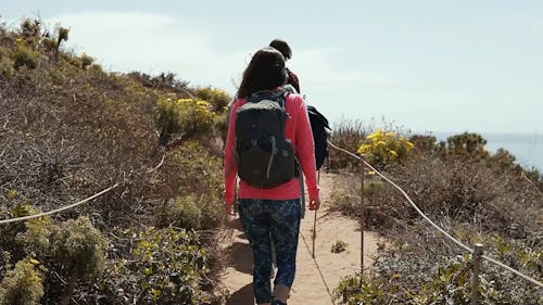 Group of People Hiking 