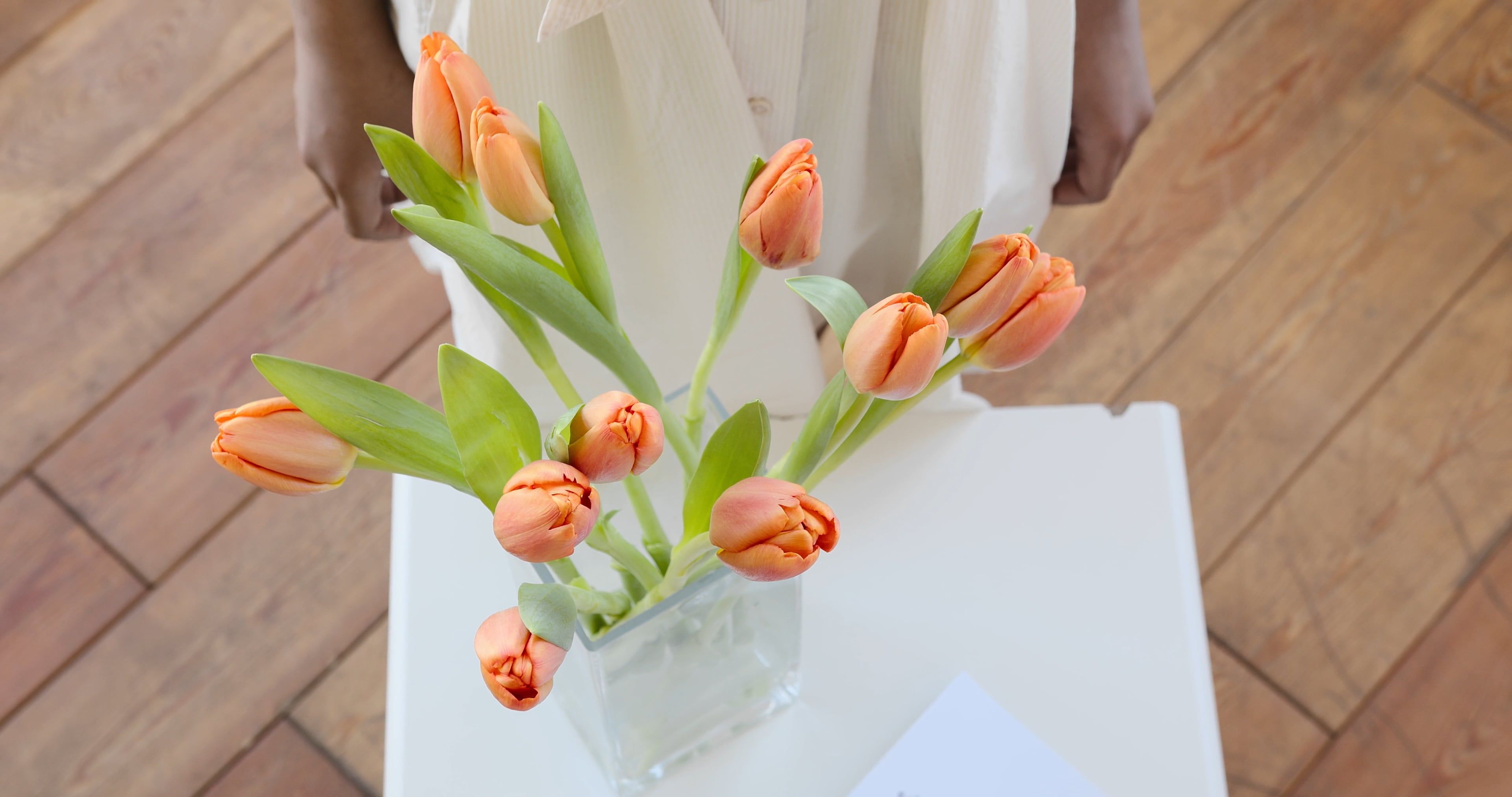 Person Arranging Flowers in a Vase · Free Stock Video